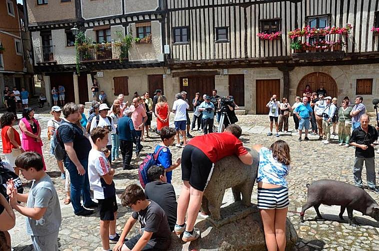 Turistas y albercanos formaron corrillo alrededor del animal.