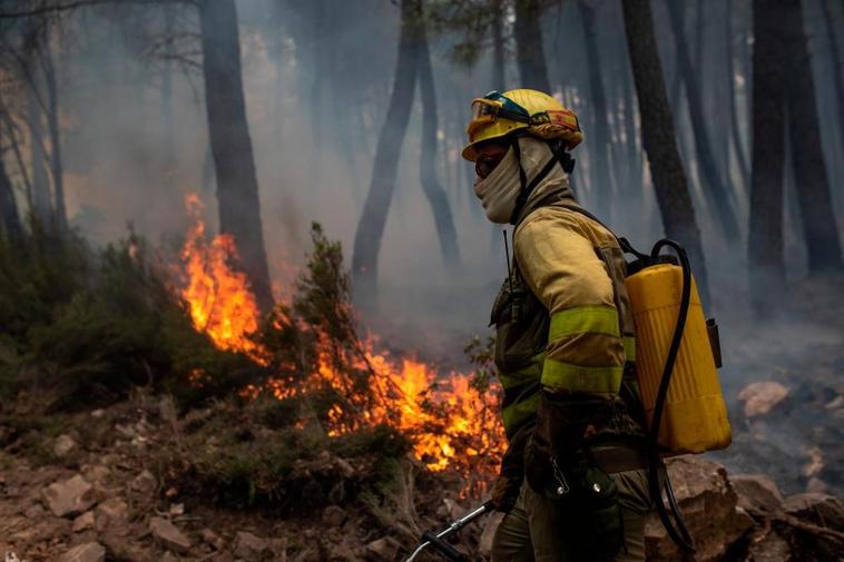 Incendio en la Sierra de la Culebra