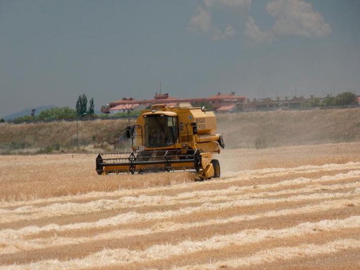 Una cosechadora trabajando en una parcela en la zona de Peñaranda.