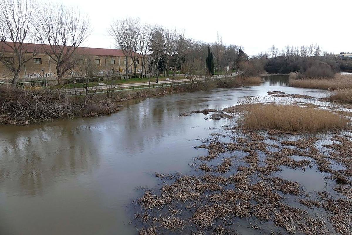 Río Tormes en las vistas desde el puente Enrique Estevan hacia La Aldehuela. | GUZÓN