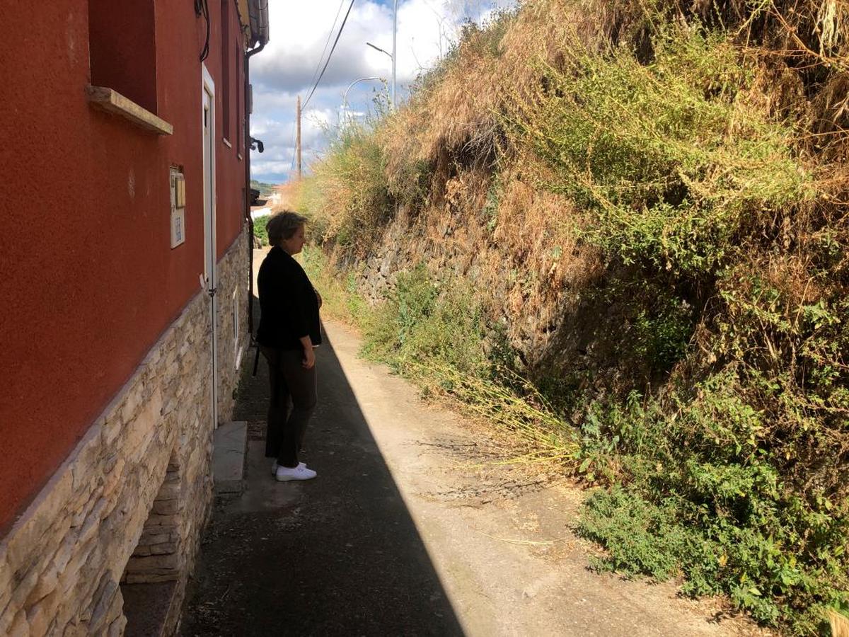 Una de las vecinas de la carretera de Aldeacipreste muestra la maleza.