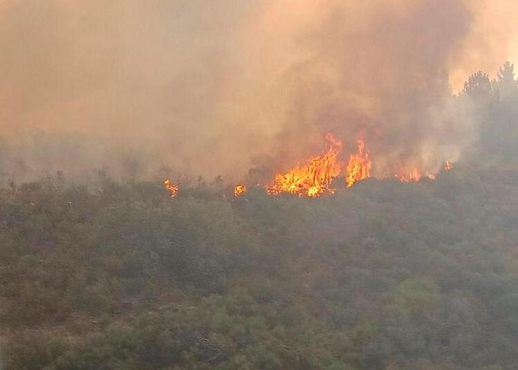 Alerta por un importante incendio forestal entre Villanueva del Conde y Sequeros