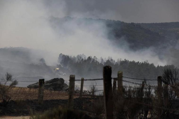 Imagen del fuego en Saelices el Chico