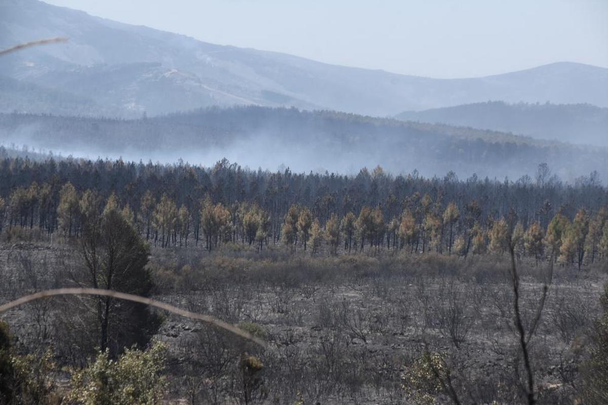 Desoladora imagen tomada de la zona del incendio de Monsagro.