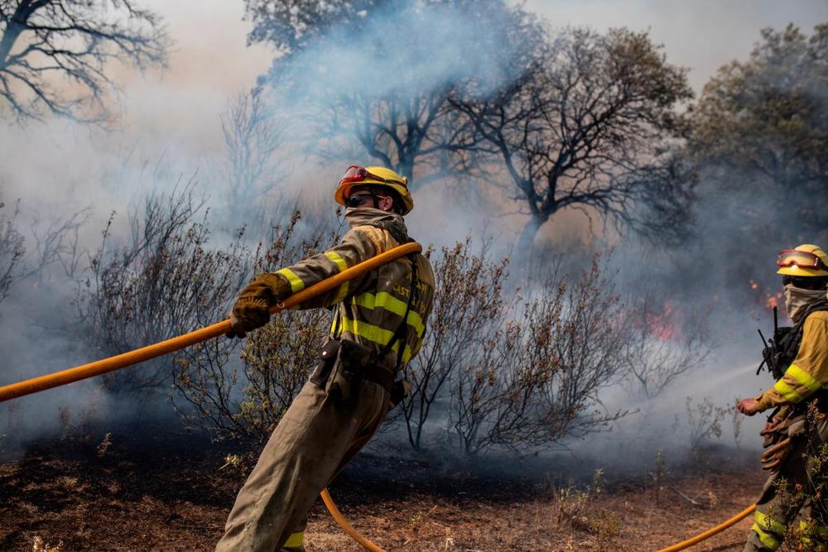 Varios bomberos trabajan en la extinción del fuego del incendio de Losacio.