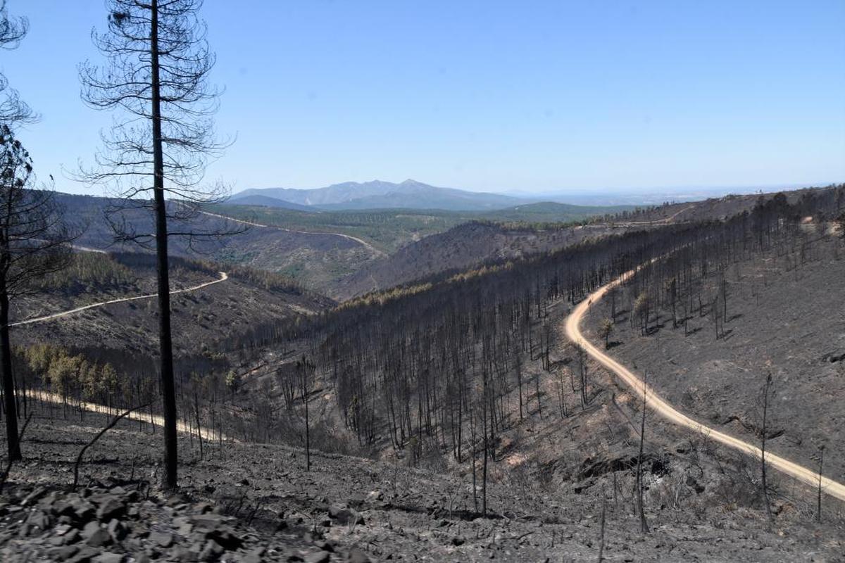 Salamanca ha sufrido las consecuencias de un efecto atmosférico conocido como domo de calor .