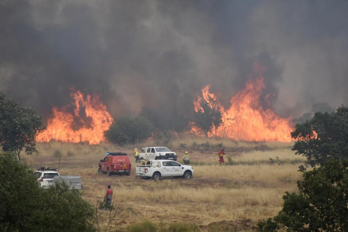 Efectivos de tierra luchando contra las llamas en Morasverdes