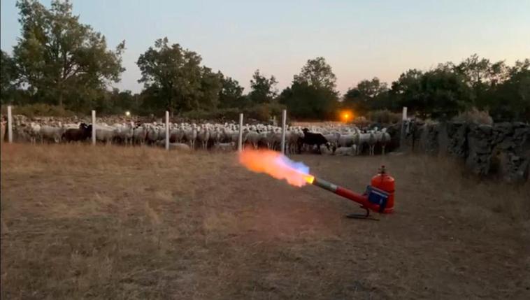 Arma enganchada a una bombona