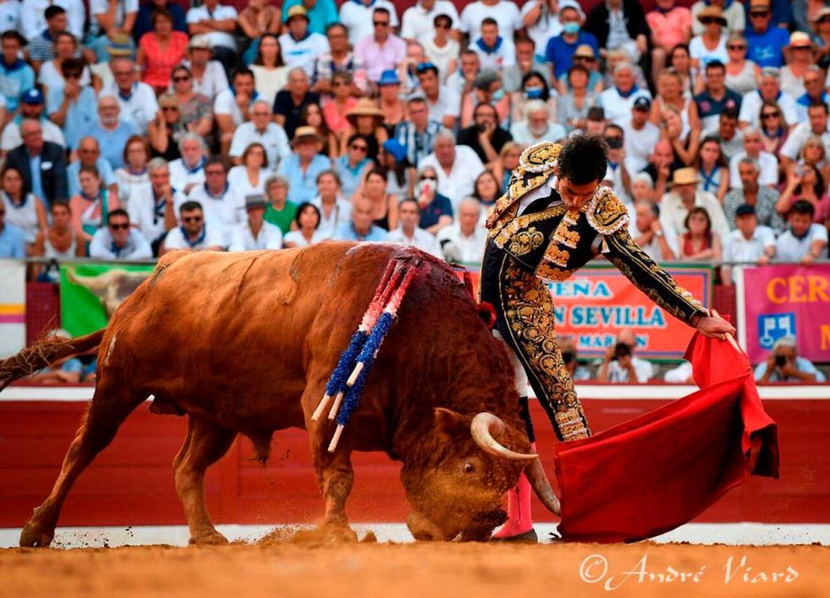 Thomas Dufau ante la entregada y profunda embestida de Deslumbrero en Mont de Marsan.