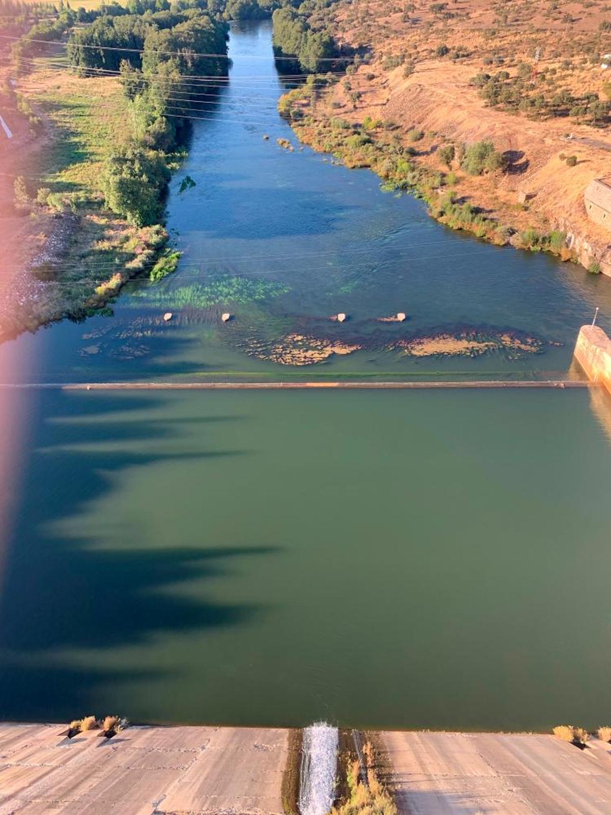 El río Tormes desde el embalse de Santa Teresa.