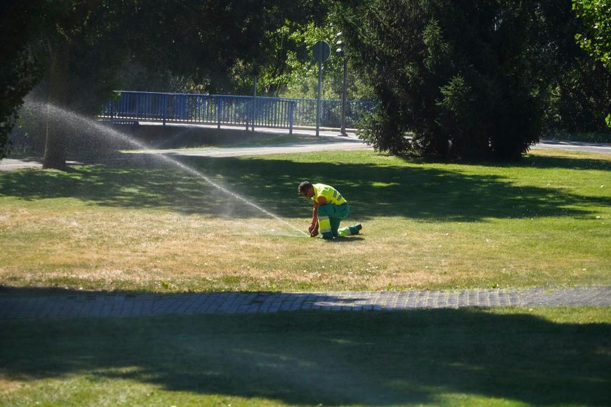 Un operario de mantenimiento de parques poniendo el riego.