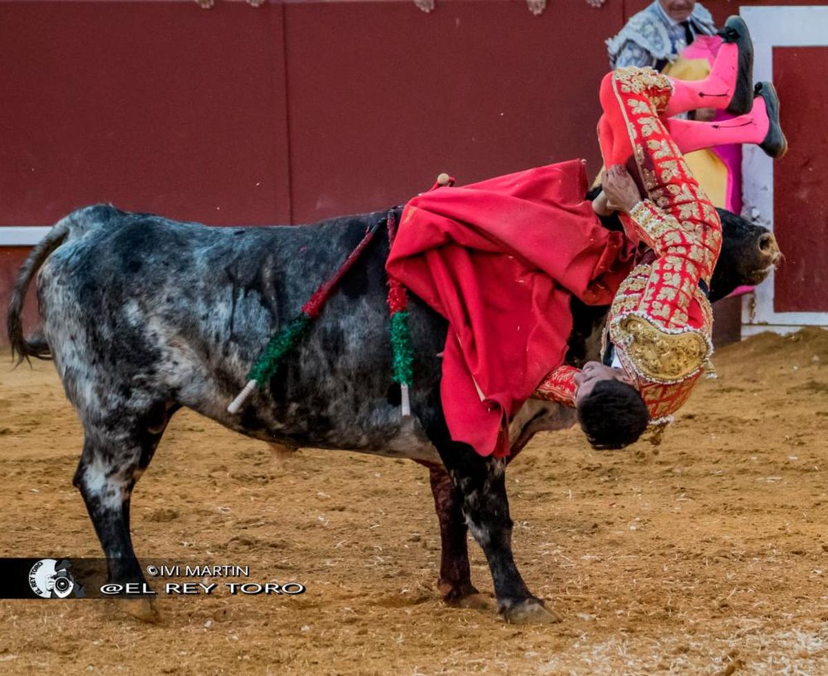 Tres momentos de la espeluznante cornada que sufrió Manuel Diosleguarde el domingo en el coso de Cuéllar (Segovia), donde el toro de Cebada Gago le infirió una cornada que le partió la vena y la arteria femoral.