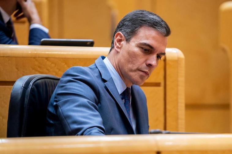 El presidente del Gobierno, Pedro Sánchez, en una sesión de control al Gobierno en el Senado.