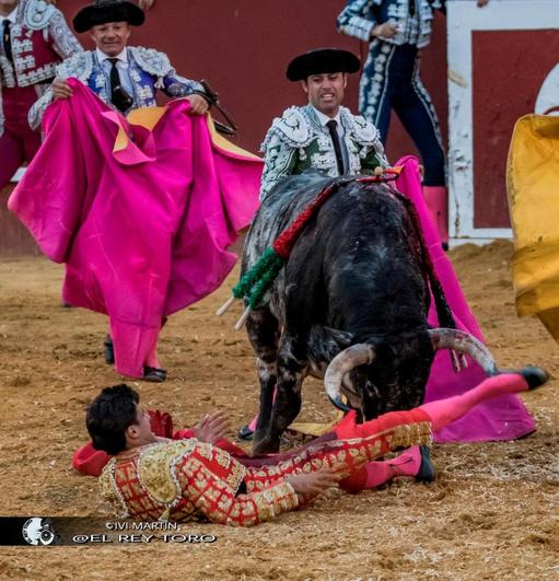 Diosleguarde, tras sufrir la espeluznante cornada en Cuéllar.