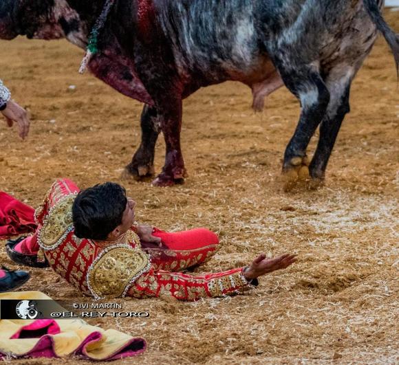 Manuel Diosleguarde pide ayuda en el suelo tras recibir la cornada del toro de Cebada.