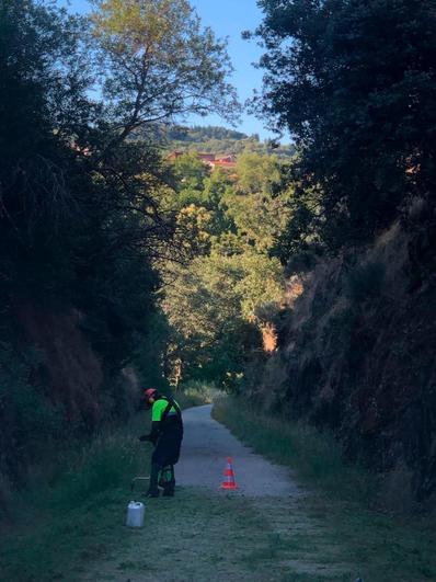 Imagen de labores de mantenimiento en la Vía Verde en Puerto de Béjar.