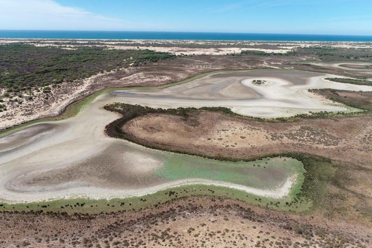 Laguna de Santa Olalla, en Doñana, seca en agosto de 2022