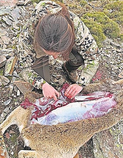 Aprovechamiento de Macho Montés.