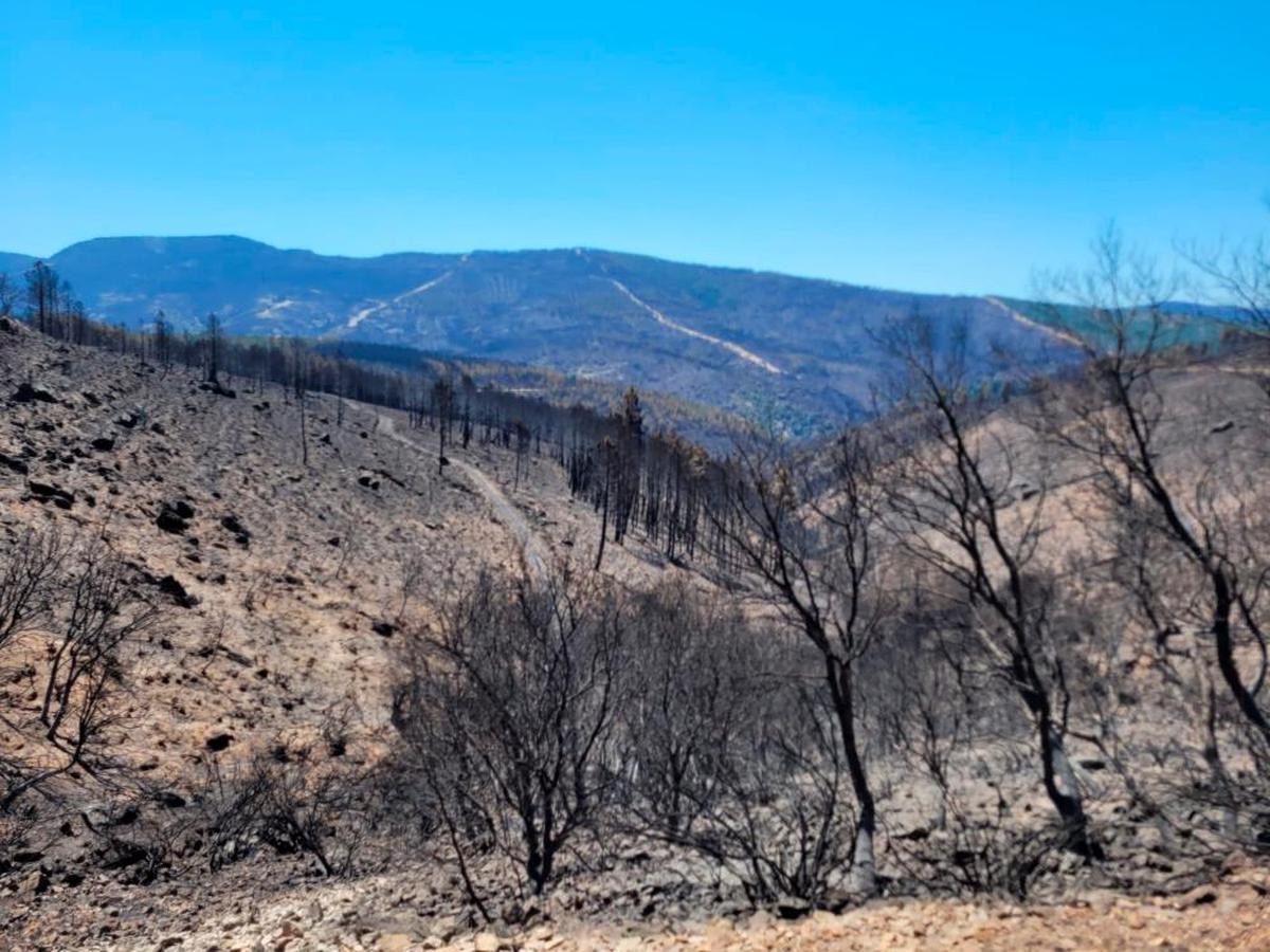 Desoladora imagen dejada por el incendio de Monsagro