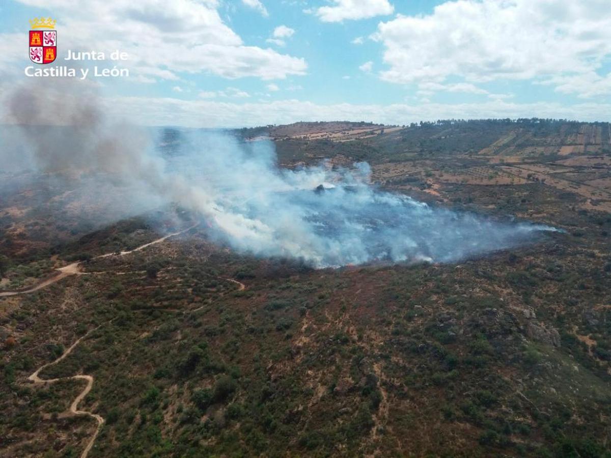 Imagen de las llamas en Almofala