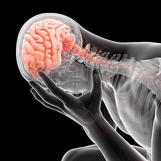 Ilustración del cuerpo humano.