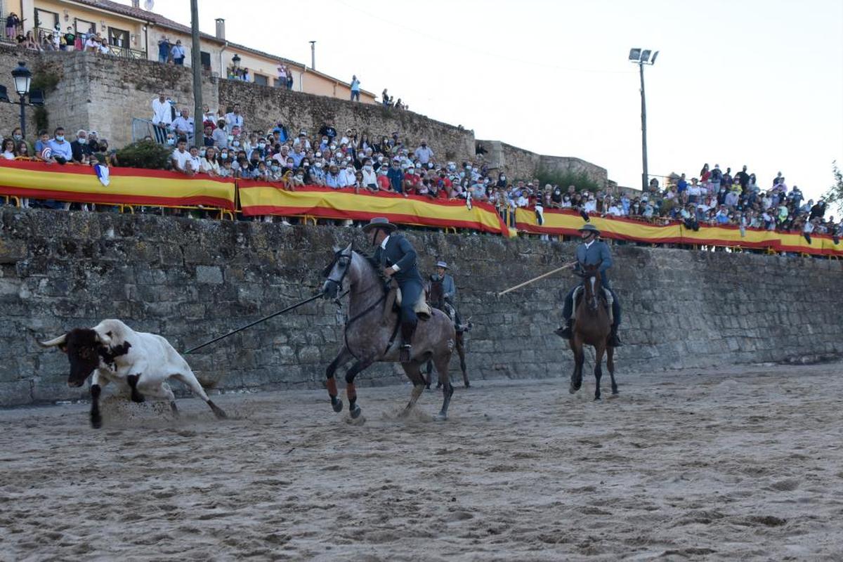 Un momento de la pasada Feria del Caballo en Ciudad Rodrigo.