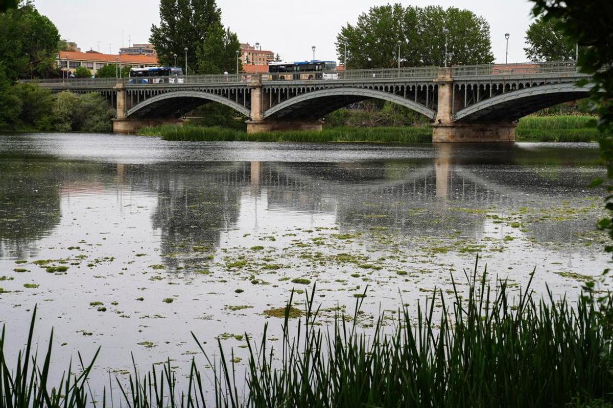 El río Tormes a su paso por Salamanca.