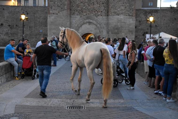 Monturas llegando ayer al paseo de Fernando Arrabal de Ciudad Rodrigo.