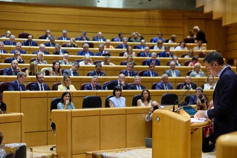 Pedro Sánchez durante una intervención en el Senado