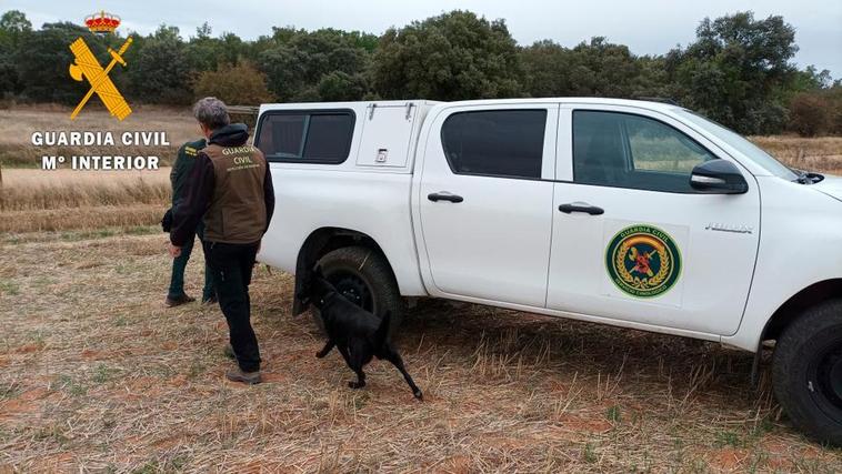 La Guardia Civil durante las labores de investigación.