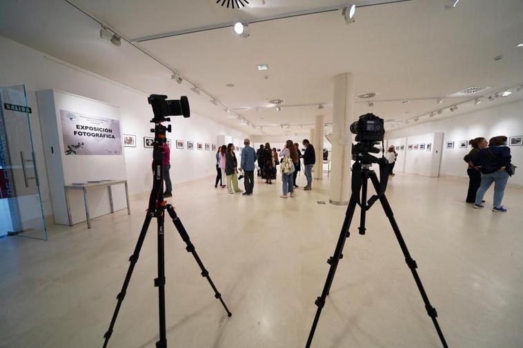 Exposición fotográfica presentada por la asociación de vecinos ‘La Aldehuela’.