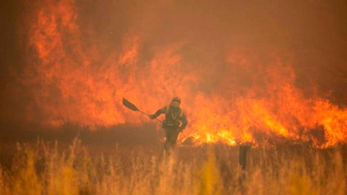Efectivos de bomberos durante el incendio de la Sierra de la Culebra