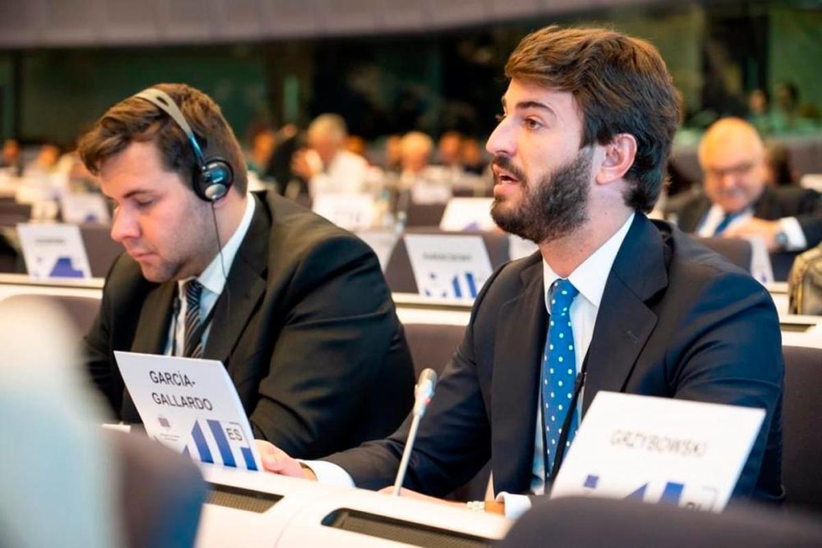 García-Gallardo durante su intervención en el Comité Europeo.