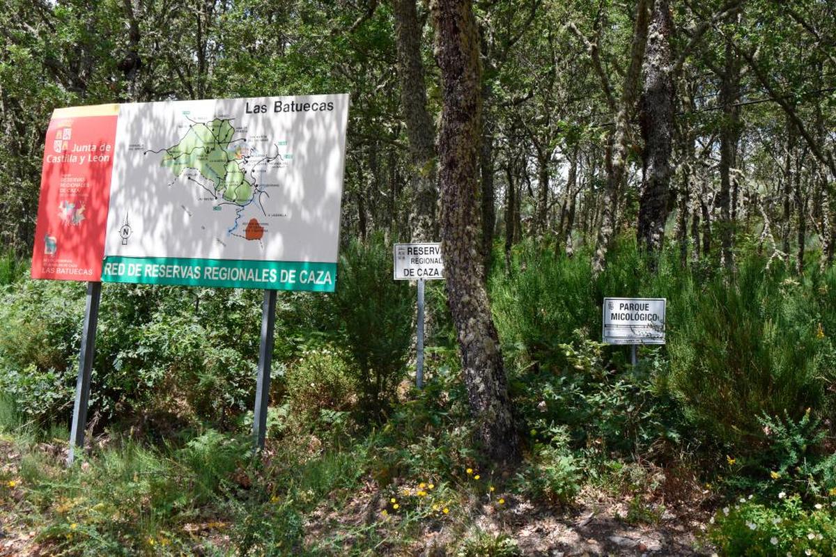 El Parque Micológico Sierras de Francia, Béjar y Quilamas y El Rebollar comparte montes con la Reserva Nacional de Caza y el Parque Natural.