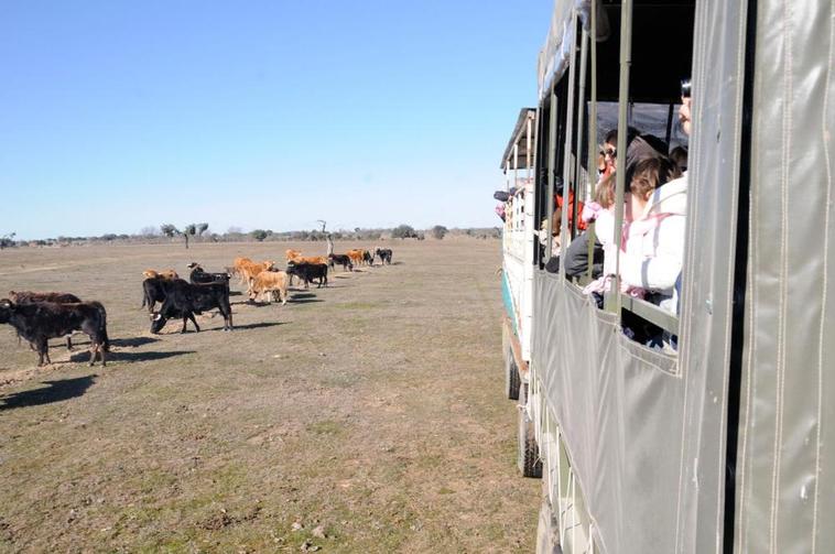 Vacada de Herederos de Santos Alcalde, en Los Talayos.