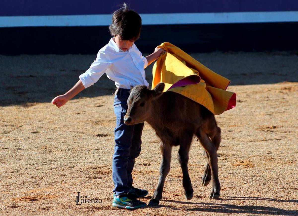 Brionesa de Marco Pérez a una becerra de Pedraza de Yeltes en agosto de 2014.