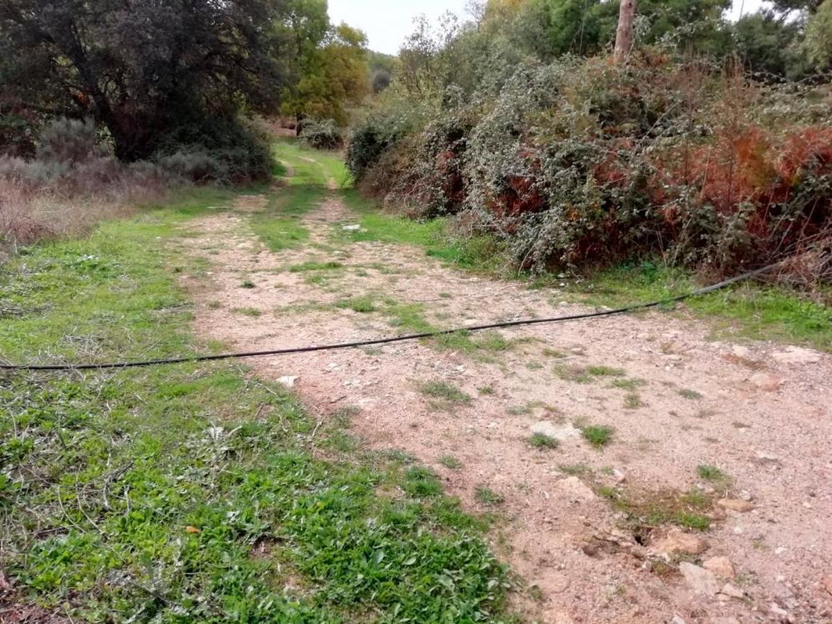 Cable caído en una zona de tránsito de vehículos, causante de las interrupciones en el servicio.