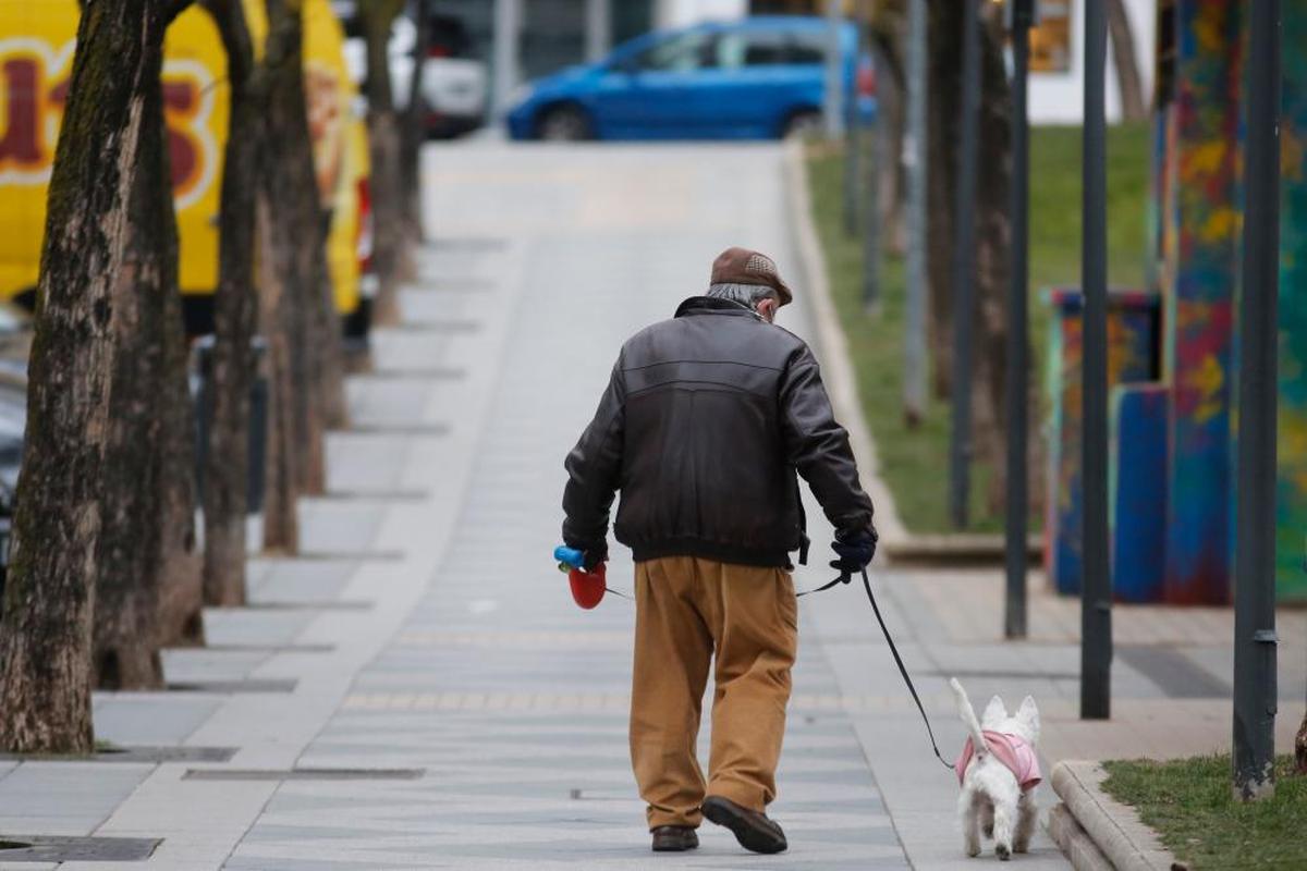 Un pensionista pasea a su mascota