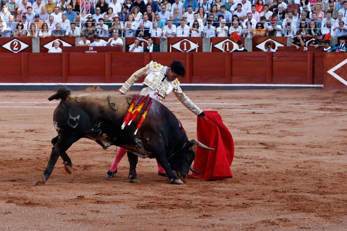 Natural de Talavante al toro de Cuvillo en Salamanca