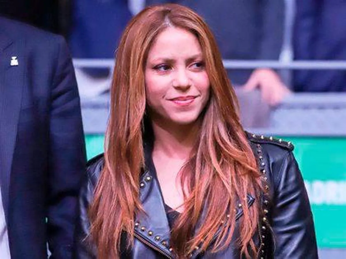 Shakira, artista y cantante.