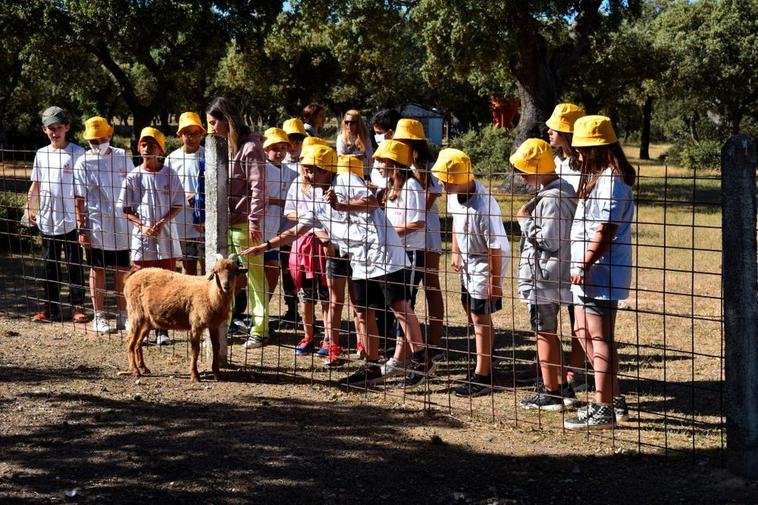 Alumnos de los colegios San Blas y Carmen Martín Gaite, ganadores del certamen en 2021 en la categoria colectiva, en su visita a la finca Buena esperanza en Morille. ARCHIVO