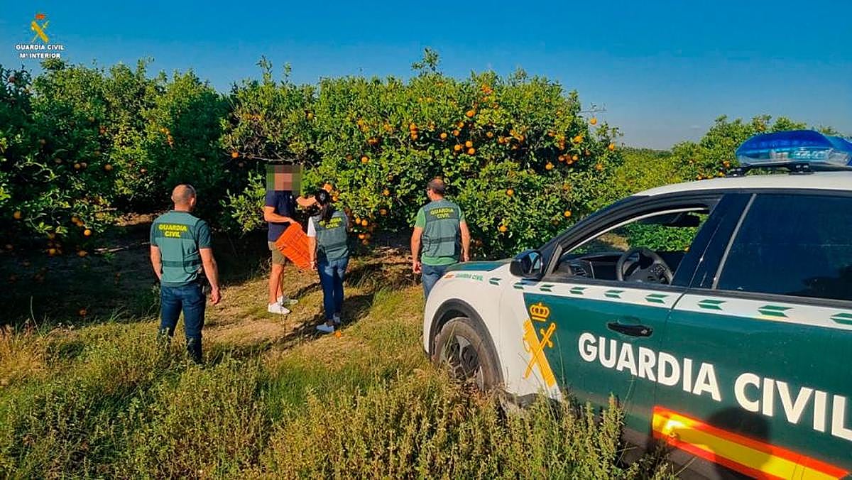 La Guardia Civil interviniendo una red de tráfico de alimentos