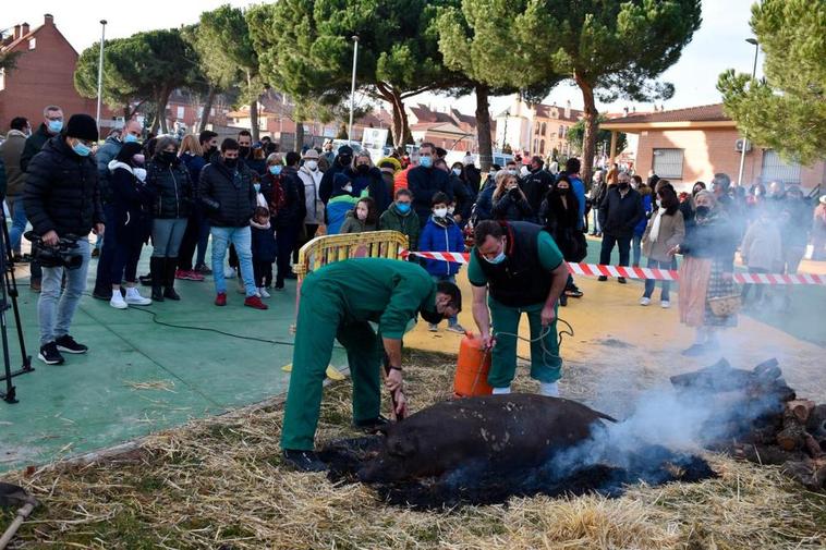 Una matanza tradicional en Carrascal de Barregas