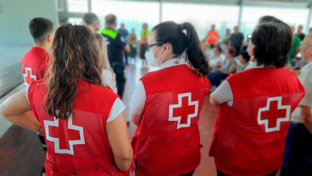 Mujer joven, con estudios y sin cargas: el perfil de los 3,3 millones de voluntarios españoles