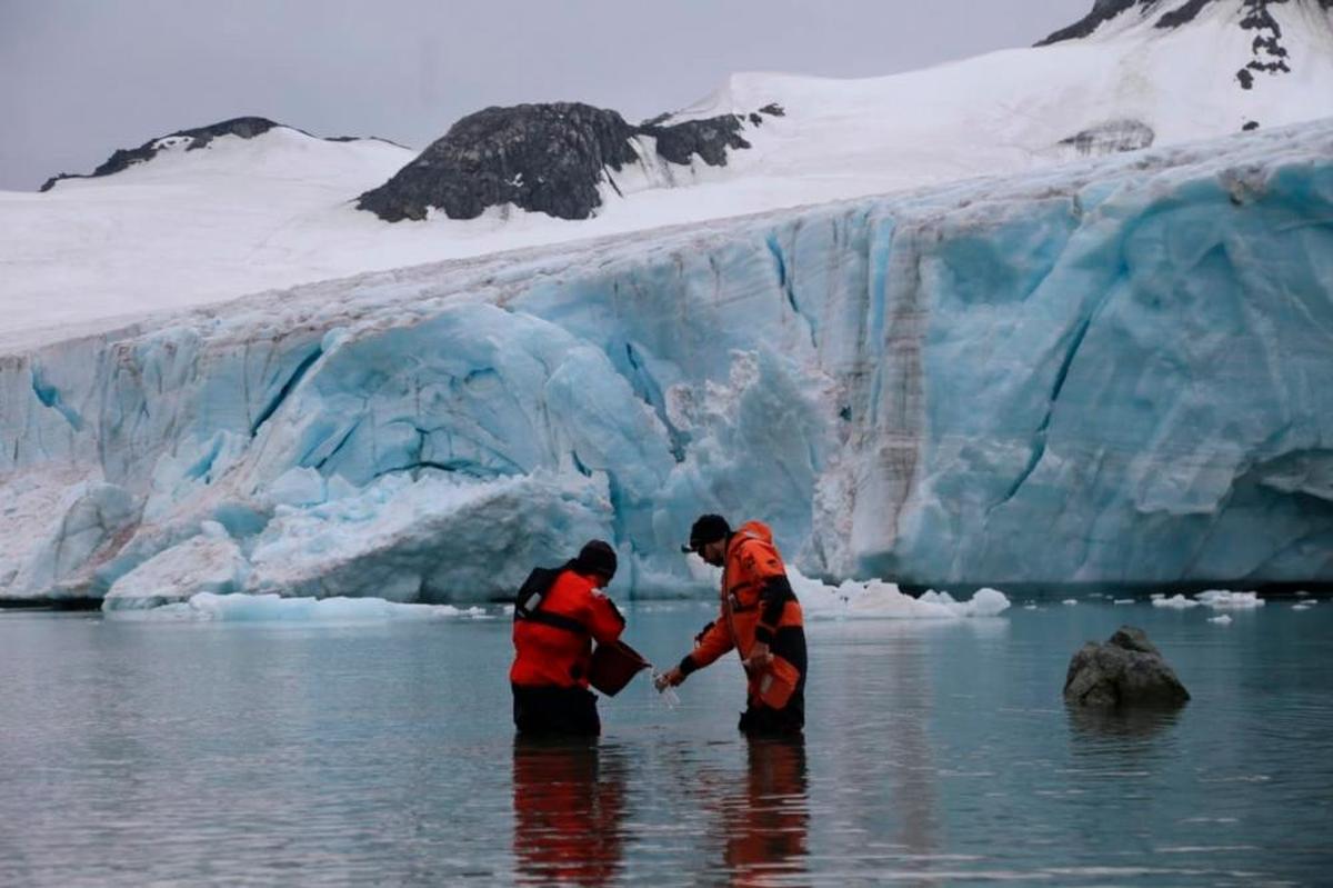 Investigadores recogiendo información en la Región Antártica