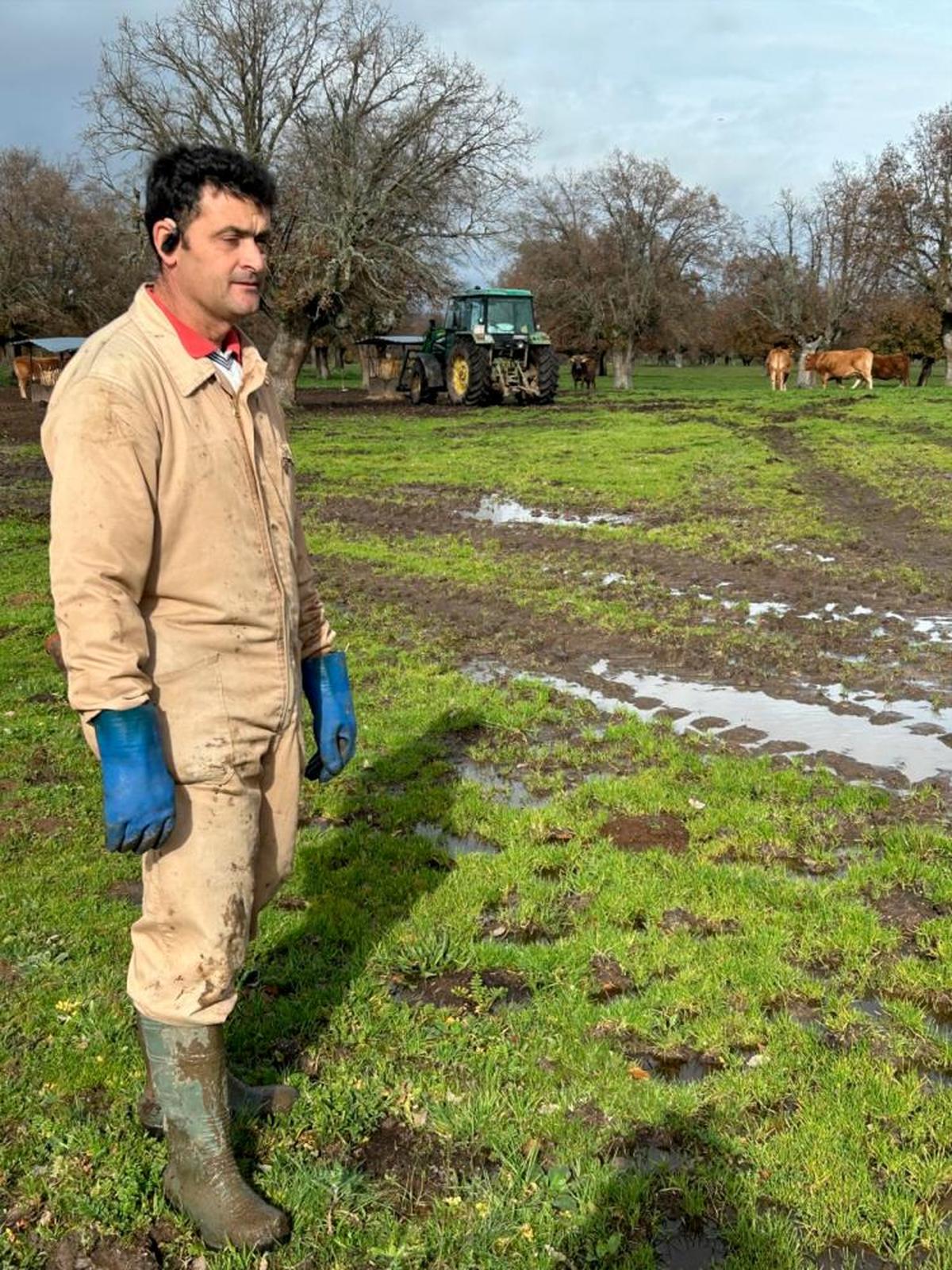 Tomás Moro, en su explotación de Boada, completamente encharcada.