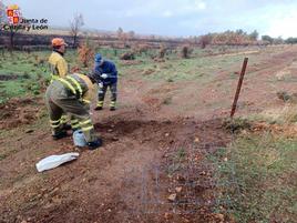 Cuadrillas de la Junta de Castilla y León reponiendo los cercados en la zona afectada por el incendio