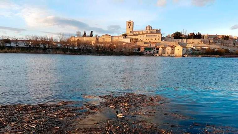 Una mujer de 70 años se cae al Duero en Zamora y es rescatada tras aferrarse a una rama
