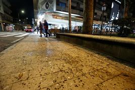 Excrementos de estorninos en el Paseo de Torres Villarroel