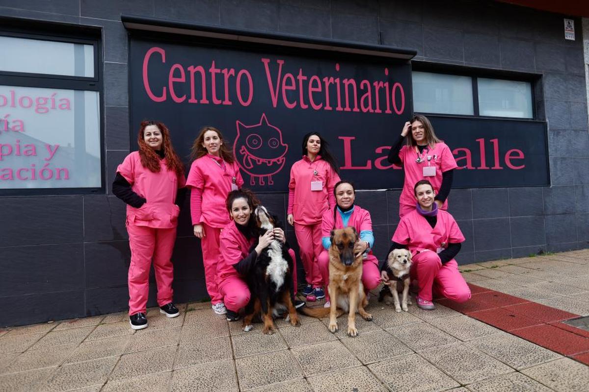 El equipo profesional que trabaja en la Clínica Veterinaria La Salle que ofrece la mejor atención para las mascotas